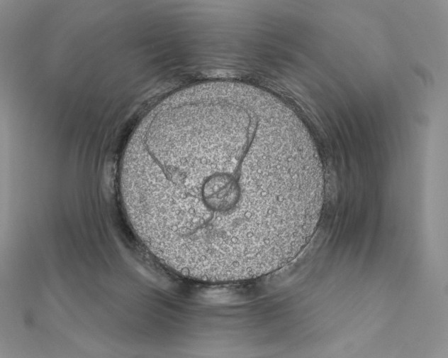 X0000111130171200907281059