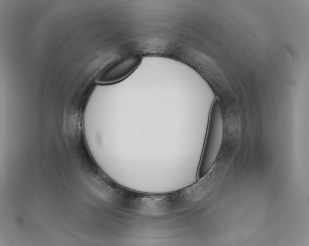 X0000111130172200907281059