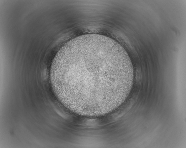 X0000111130173200907281059