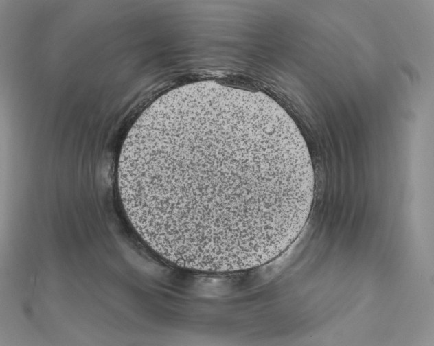 X0000111130174200907281059