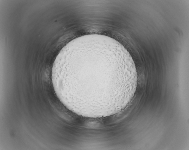 X0000111130175200907281059