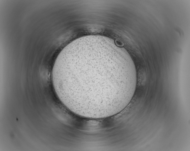 X0000111130176200907281059