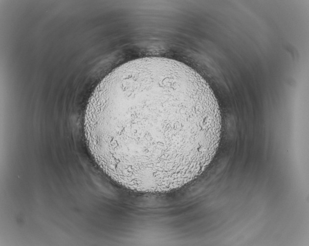 X0000111130177200907281059