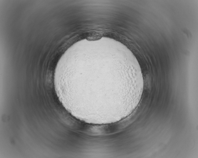 X0000111130178200907281059