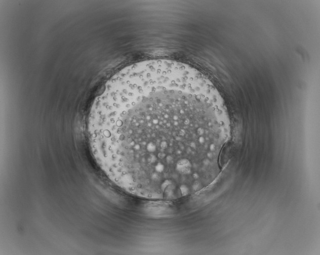 X0000111130179200907281059