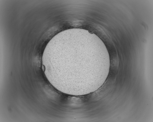 X0000111130180200907281059