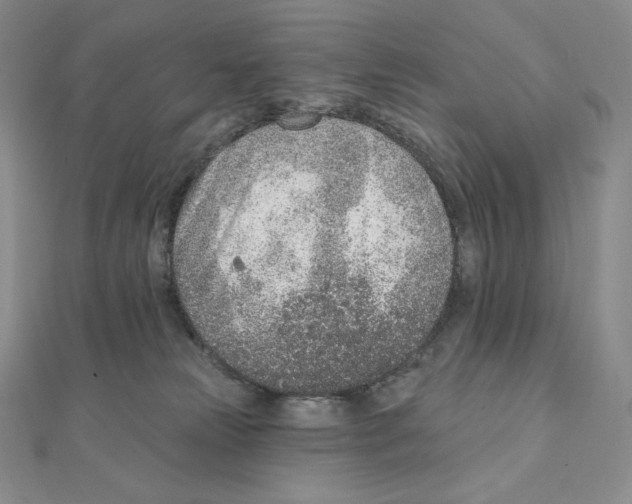 X0000111130181200907281059