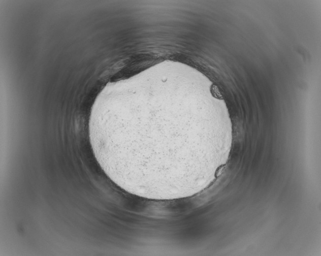 X0000111130182200907281059