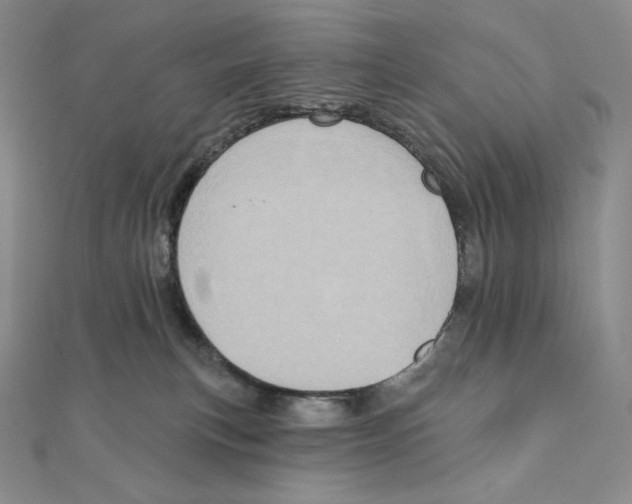 X0000111130183200907281059