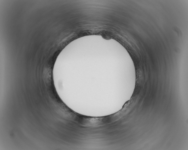 X0000111130184200907281059