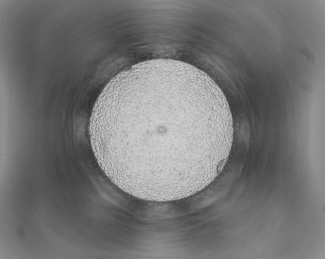 X0000111130185200907281059