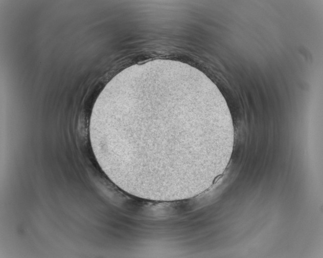 X0000111130186200907281059