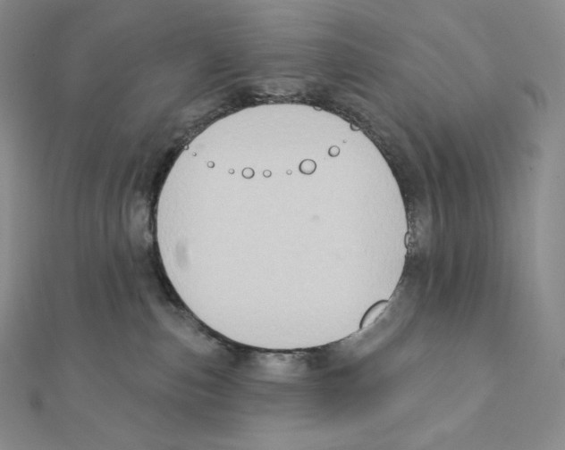 X0000111130187200907281059