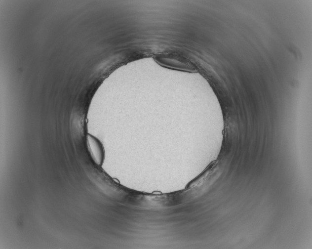 X0000111130188200907281059