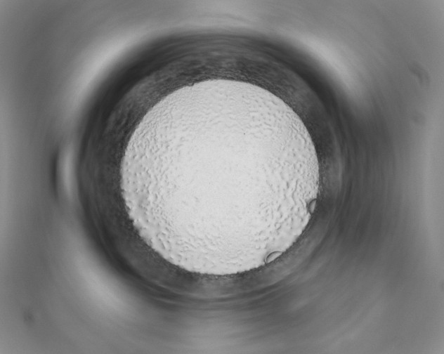 X0000111130189200907281059