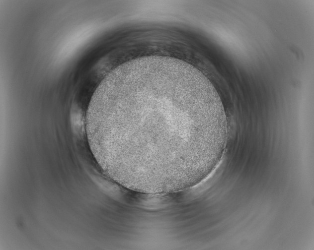 X0000111130191200907281059