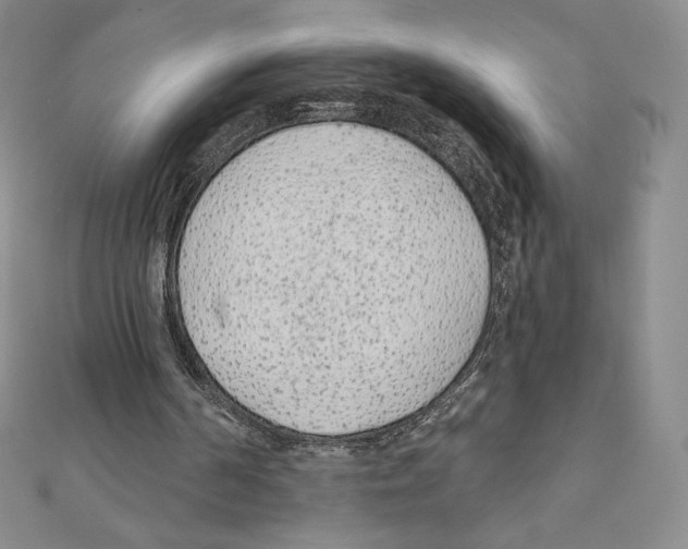 X0000111130194200907281058