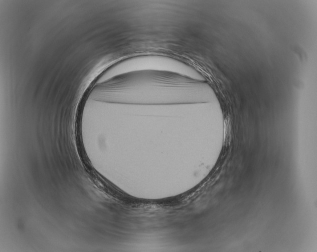 X0000111130195200907281058