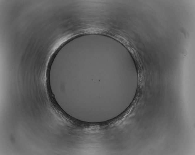 X0000111130196200907281058