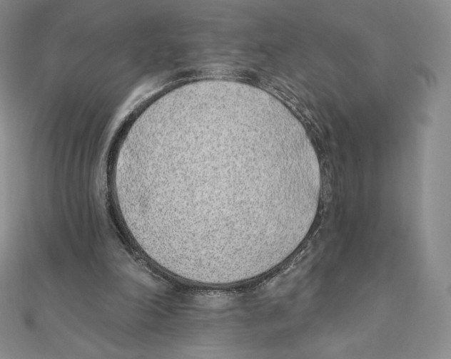 X0000111130198200907281058