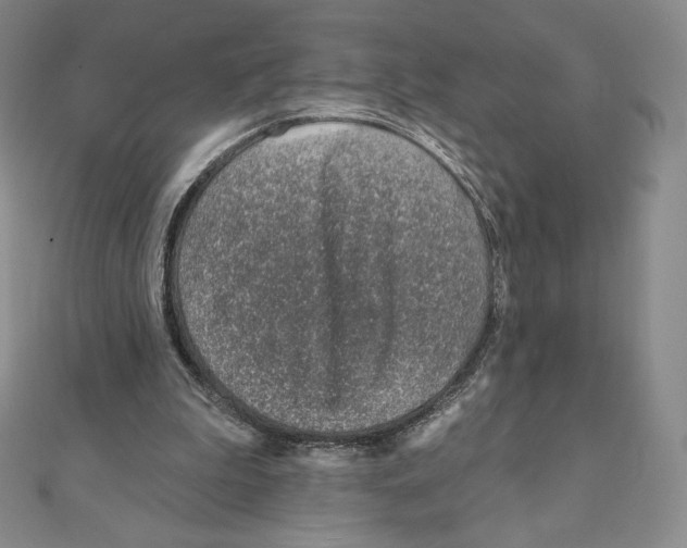 X0000111130199200907281058