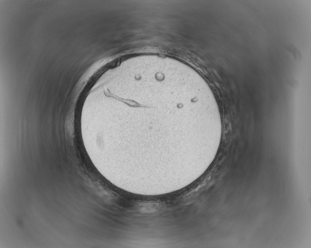 X0000111130200200907281058