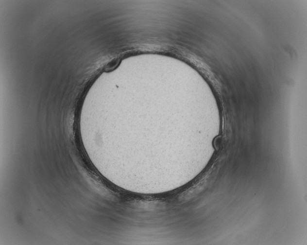 X0000111130201200907281058