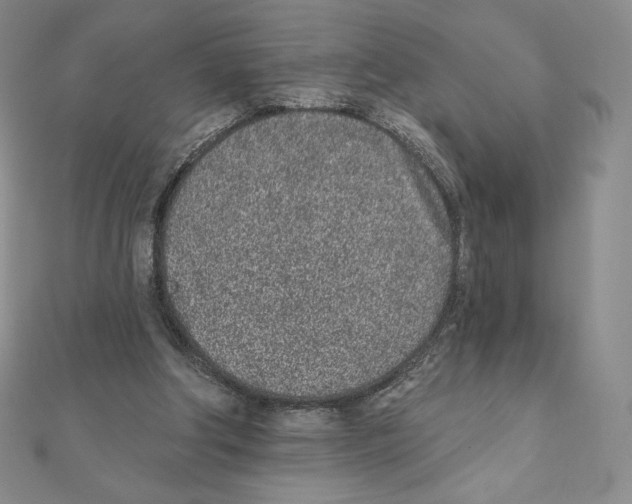 X0000111130202200907281058