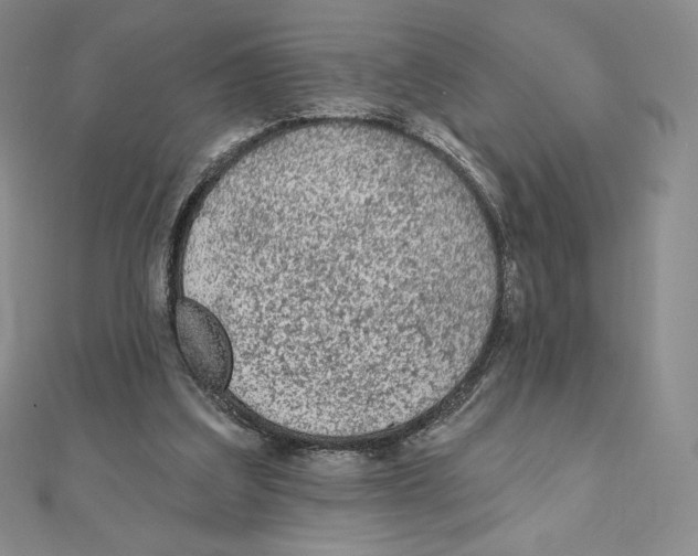 X0000111130203200907281058
