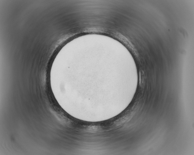 X0000111130204200907281058
