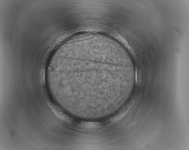 X0000111130205200907281058