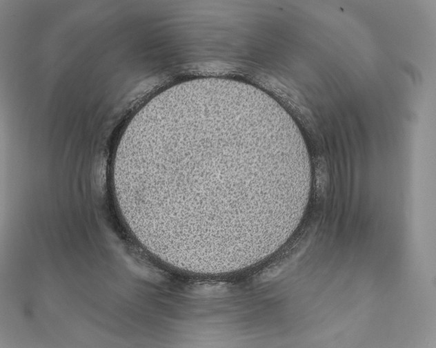 X0000111130206200907281058