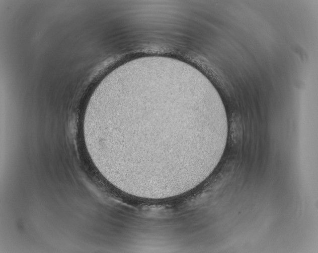 X0000111130208200907281058
