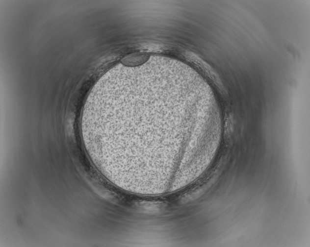 X0000111130209200907281058
