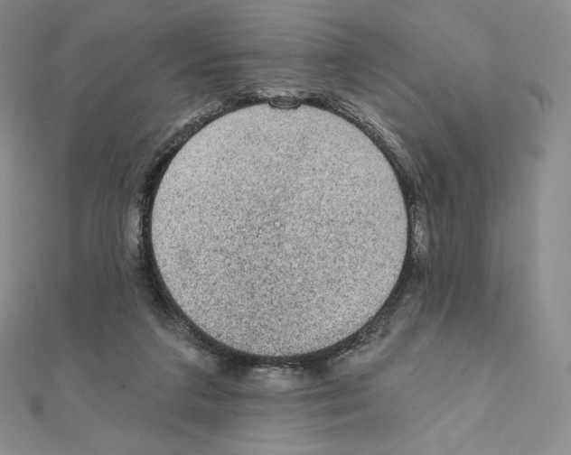 X0000111130211200907281058