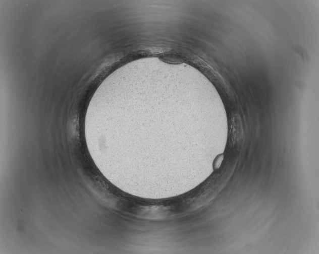 X0000111130212200907281058
