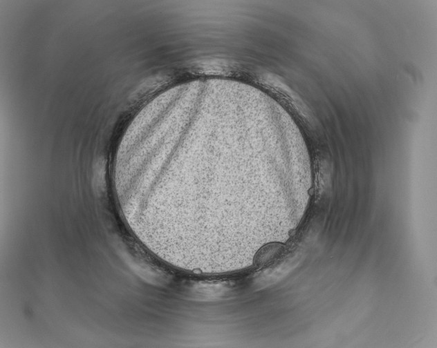 X0000111130213200907281058