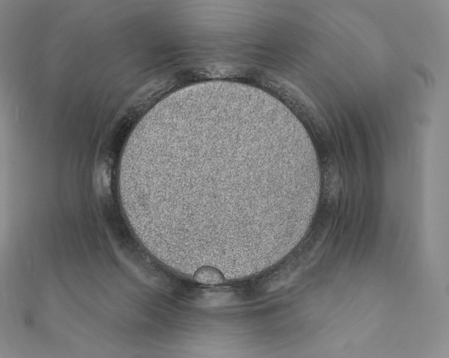X0000111130214200907281058