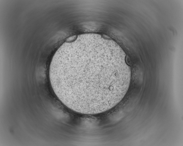 X0000111130215200907281058