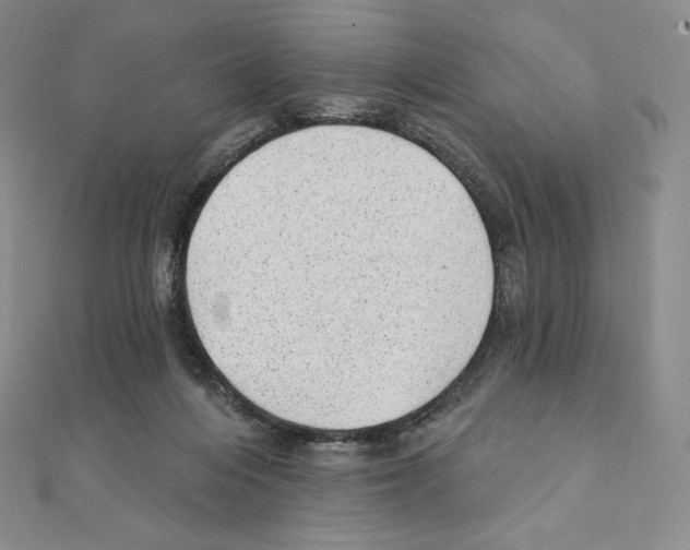X0000111130216200907281058