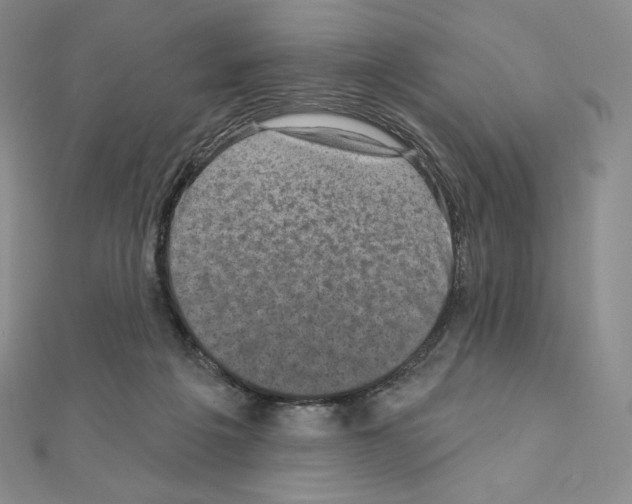 X0000111130217200907281058