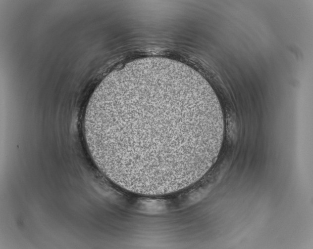 X0000111130221200907281058