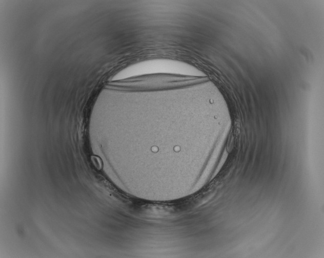 X0000111130223200907281058