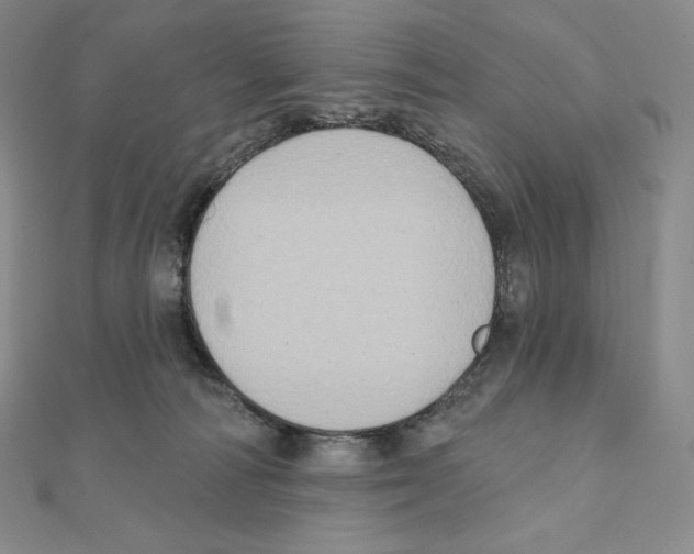 X0000111130226200907281058