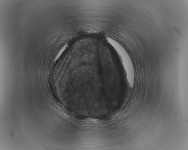 X0000111130227200907281058
