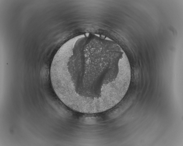 X0000111130228200907281058