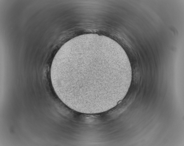 X0000111130229200907281058