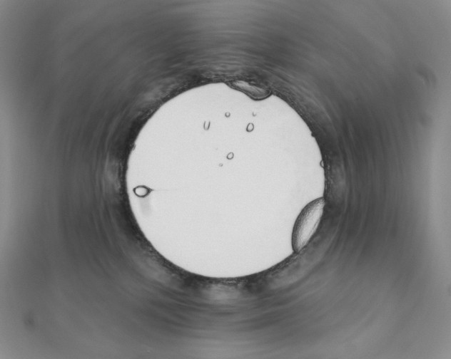 X0000111130232200907281058
