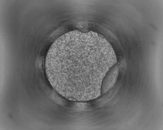 X0000111130233200907281058