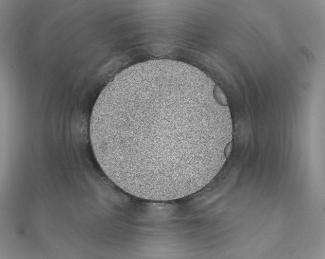 X0000111130234200907281058